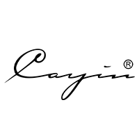 cayin audio reviews
