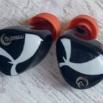 Night Oblivion Butastur