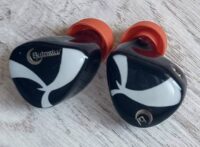 Night Oblivion Butastur