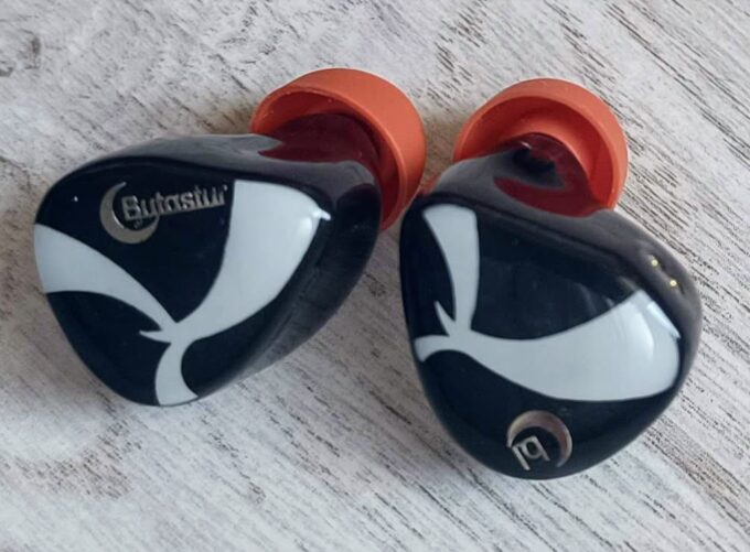 Night Oblivion Butastur